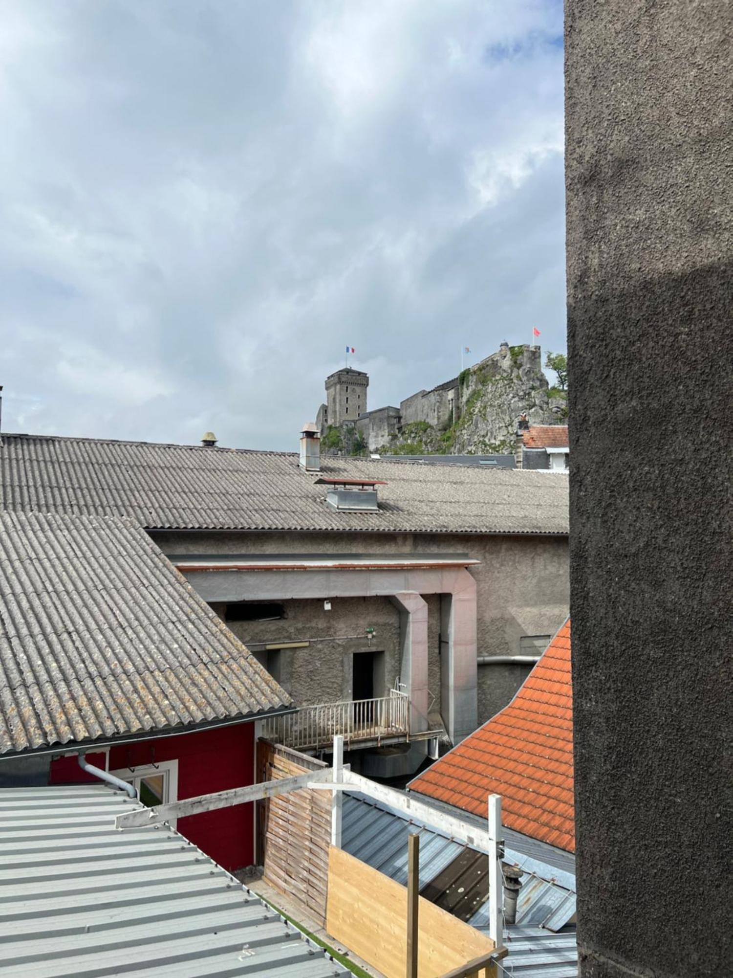 Residence Sainte Therese - La Villa Selva Лурд Екстер'єр фото